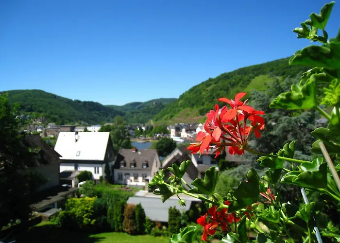 Ferienwohnung Burgblick