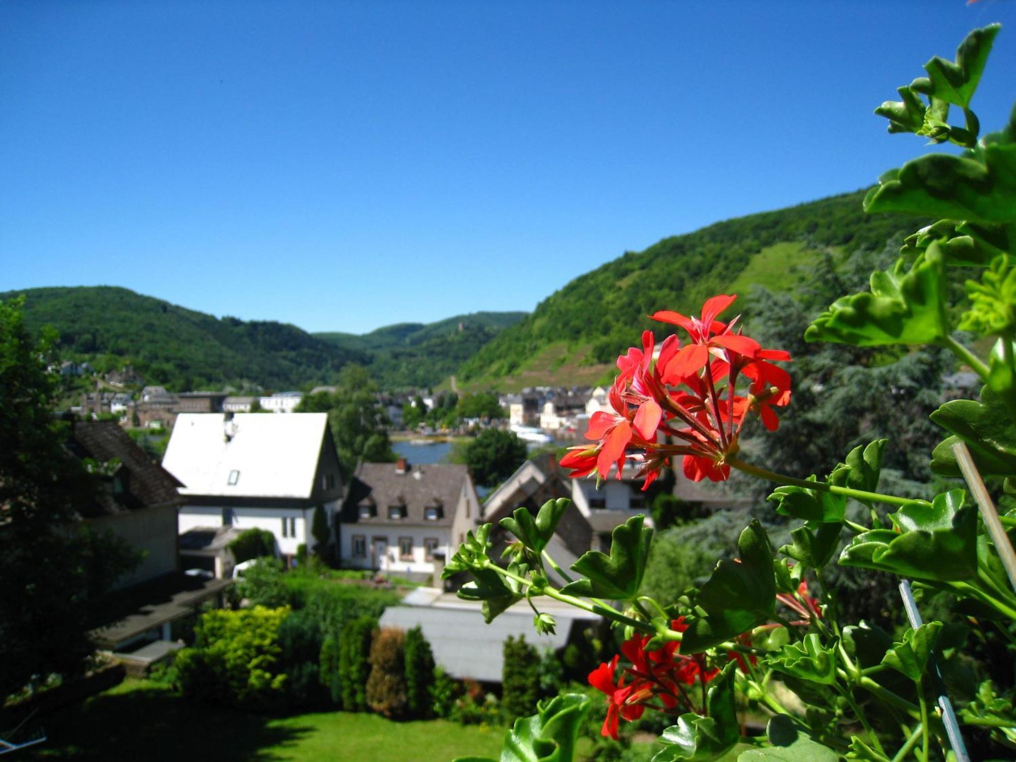Burgblick